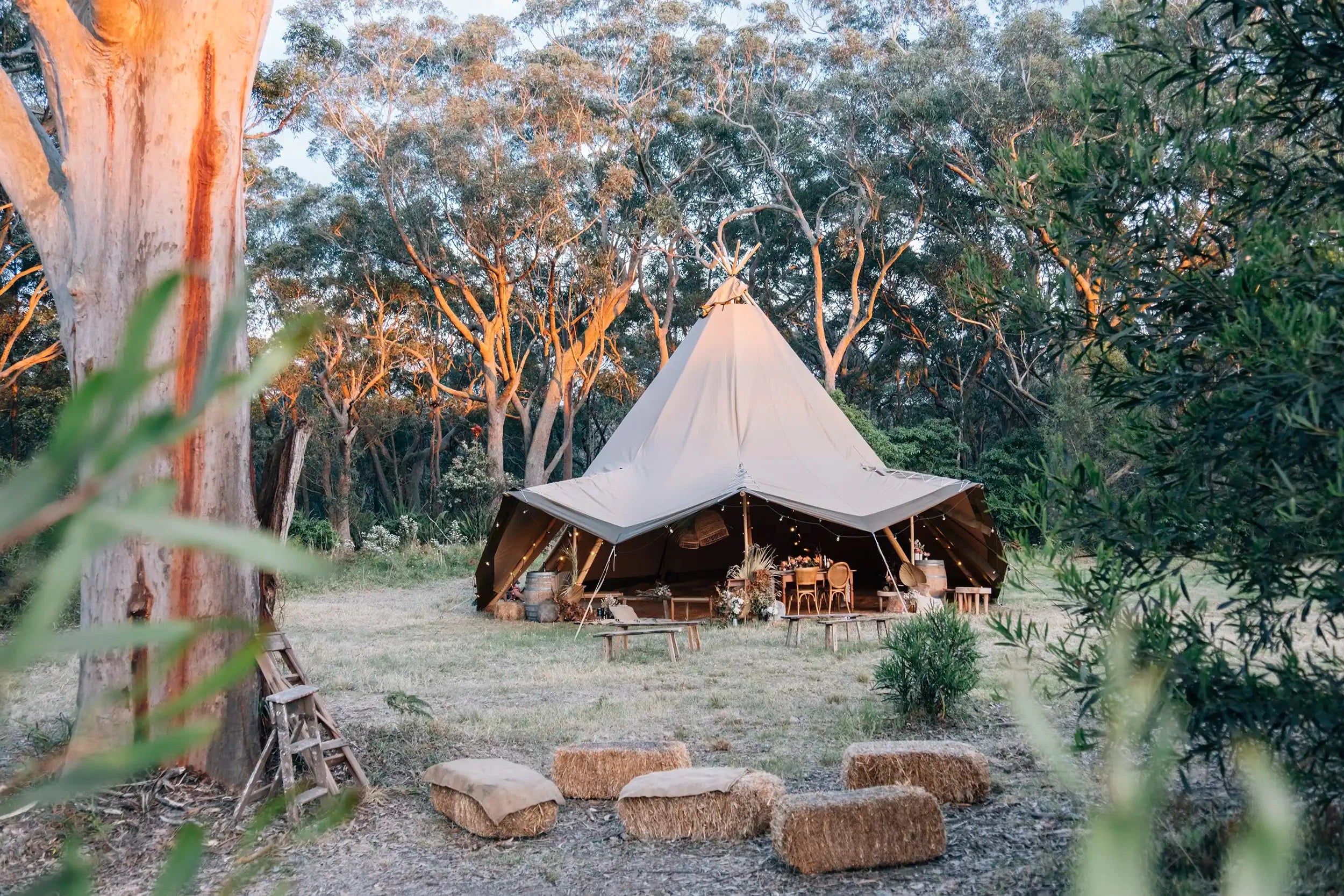 Stratus 72 canvas event tent with raised brim Nordic tipi by South Coast Tipis