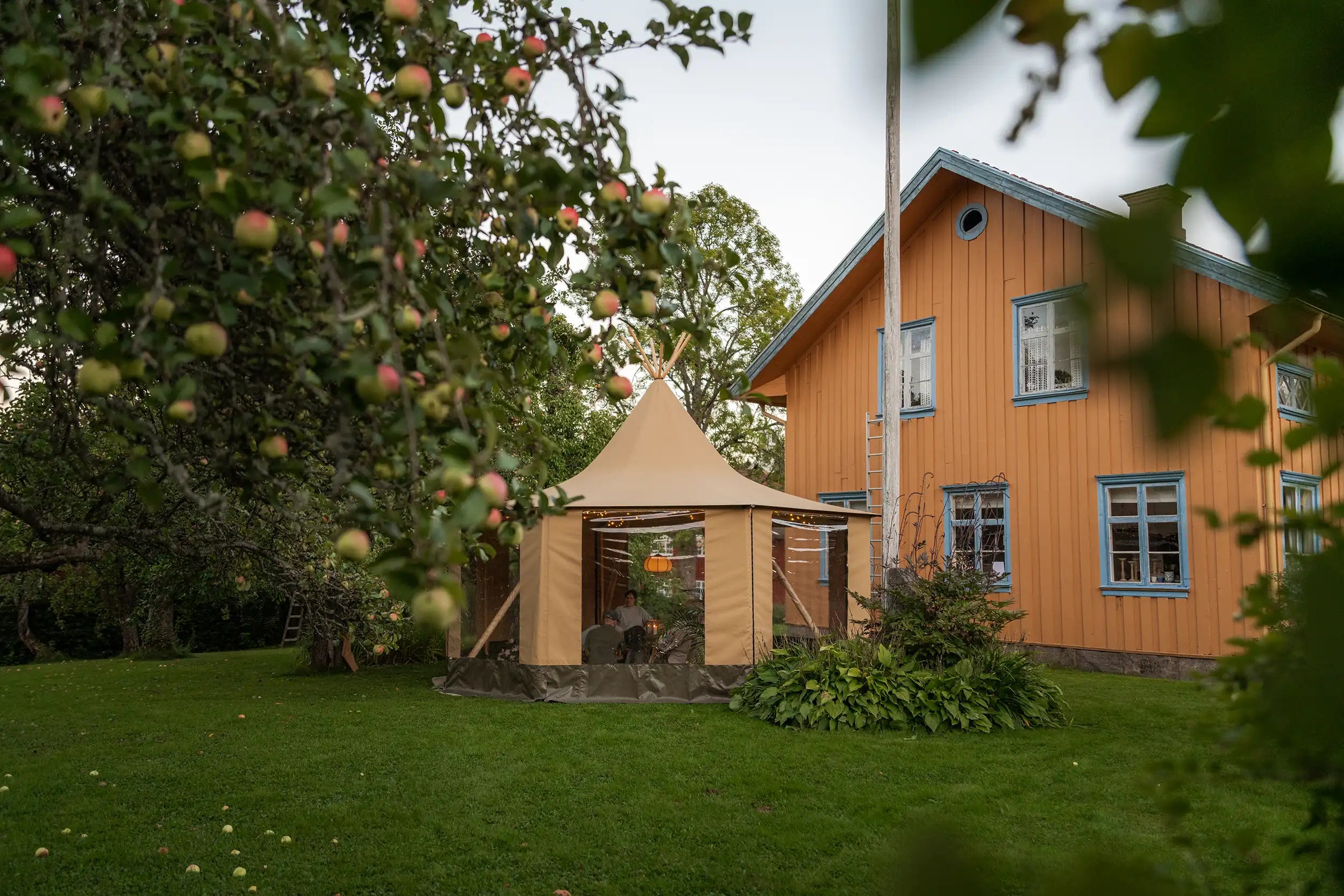 Backyard garden tent solutions