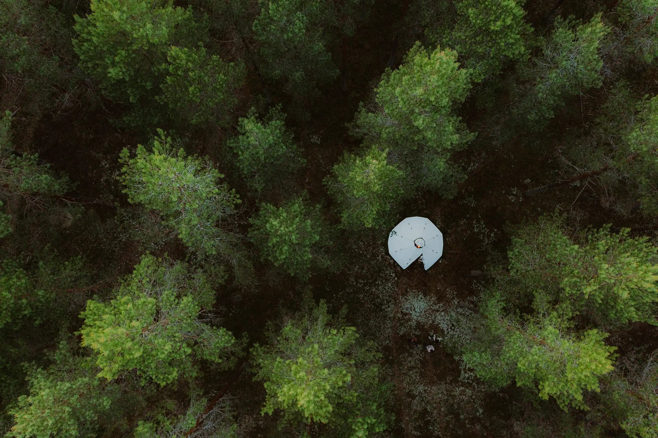 Safir 7 eco pitched in the forest