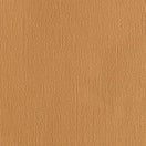 Canvas - Pro