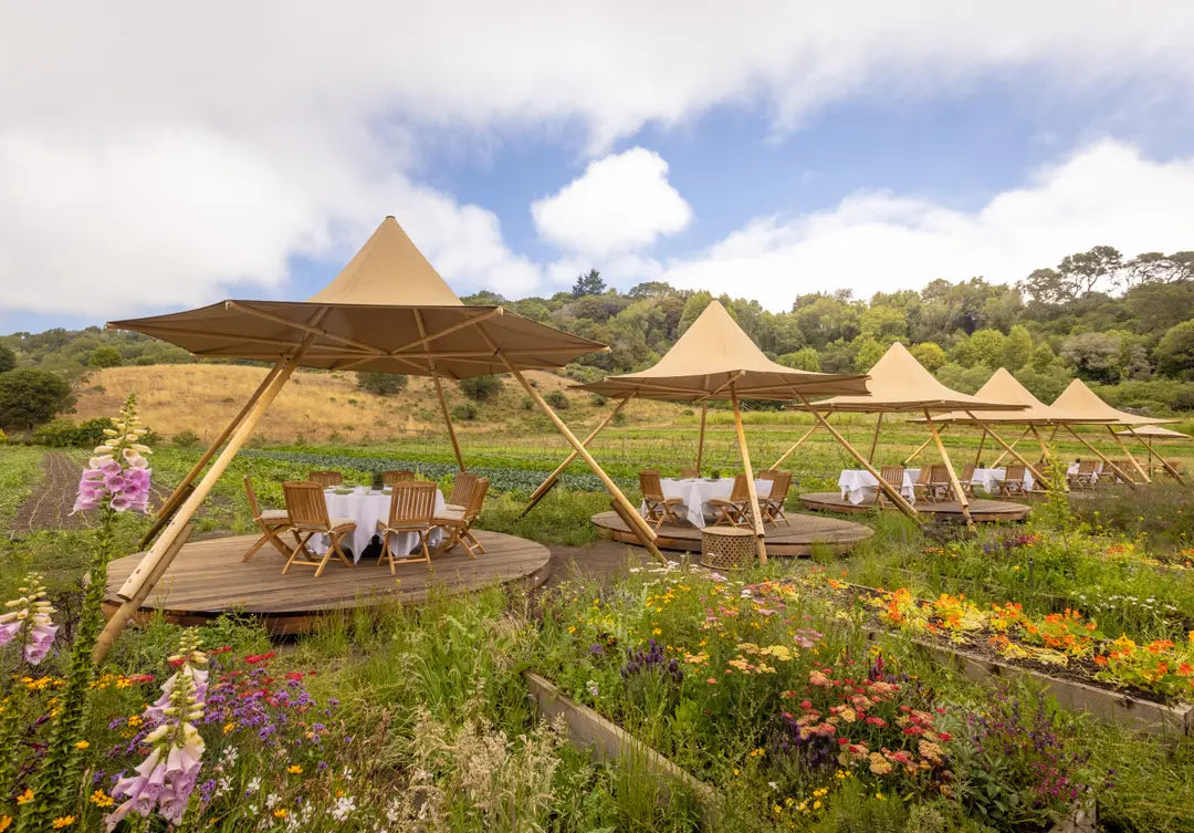 Nimbus 16 dinner tents by Quince