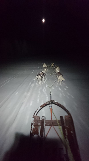 Lena Bjelfman Tentipi sled dogs night dark light blog snow