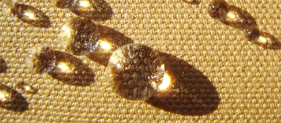 impregnated cotton/polyester fabric with water drops