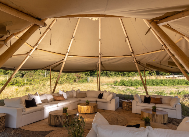 Tentipi Blog Quince gh quincefarm 1016