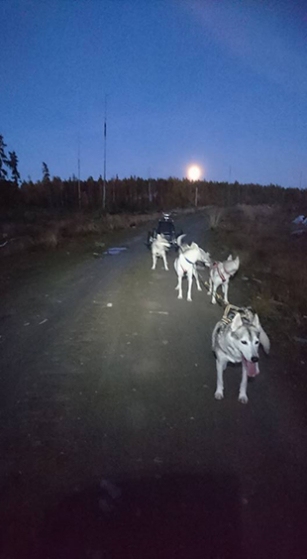 Moon dog sled Lena Bjelfman sky light blog