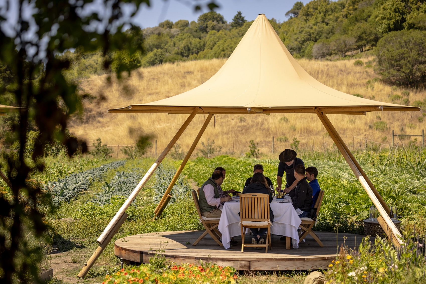 Tentipi Blog Quince gh quincefarm 1157