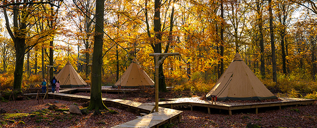 Night at the Zoo – explore the park after dark and fall asleep in a Nordic tipi